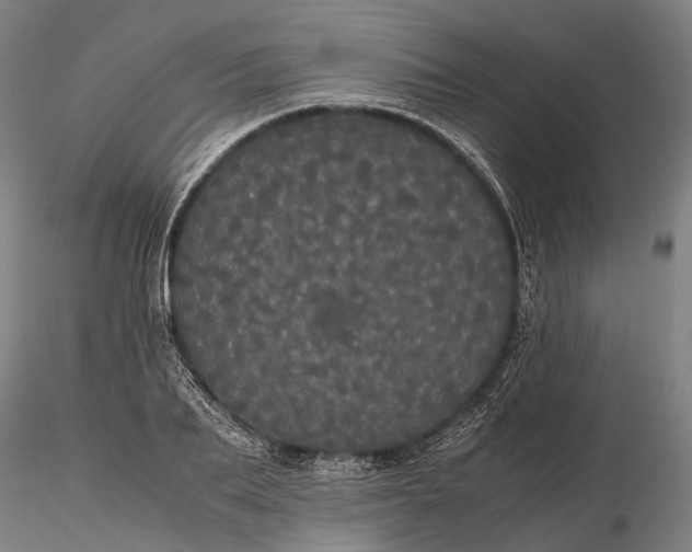 X0000116120887200912071343