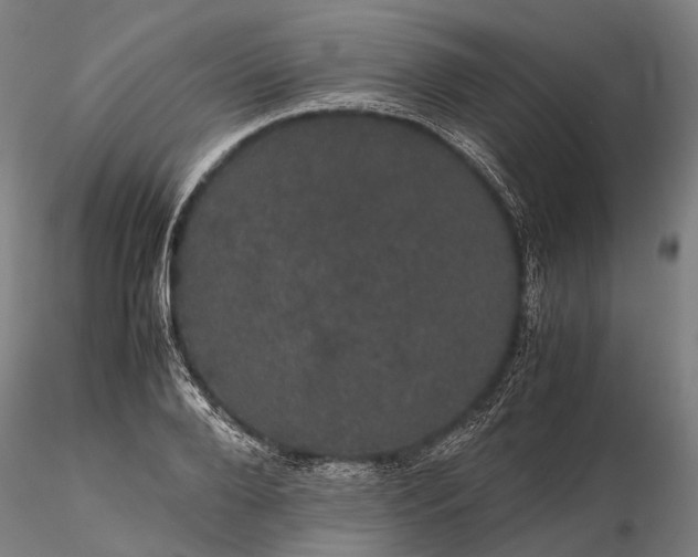 X0000116120888200912071343