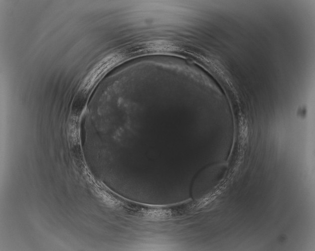 X0000116120889200912071343