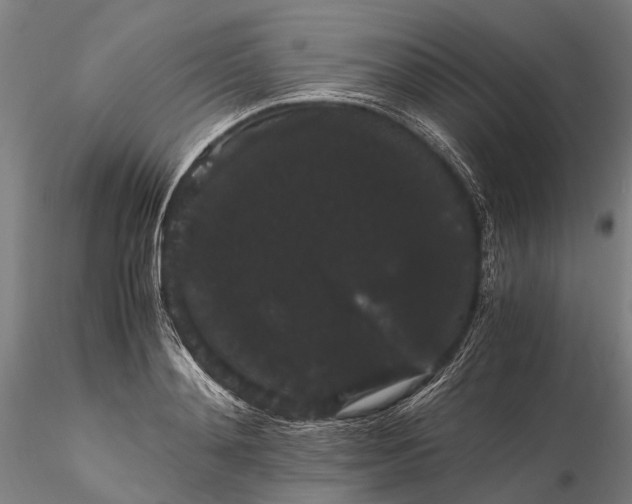 X0000116120892200912071343