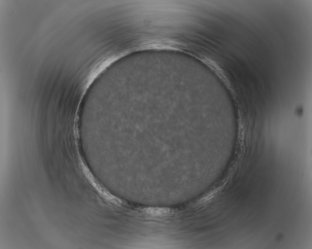 X0000116120893200912071343