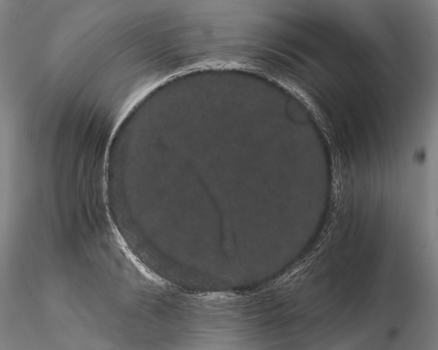 X0000116120894200912071343