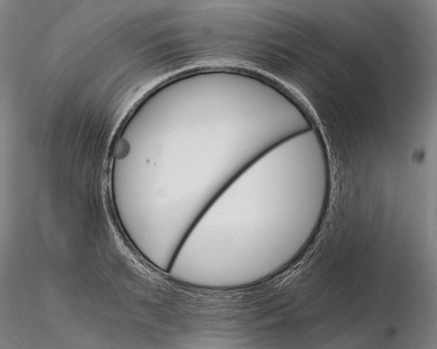 X0000116120895200912071343