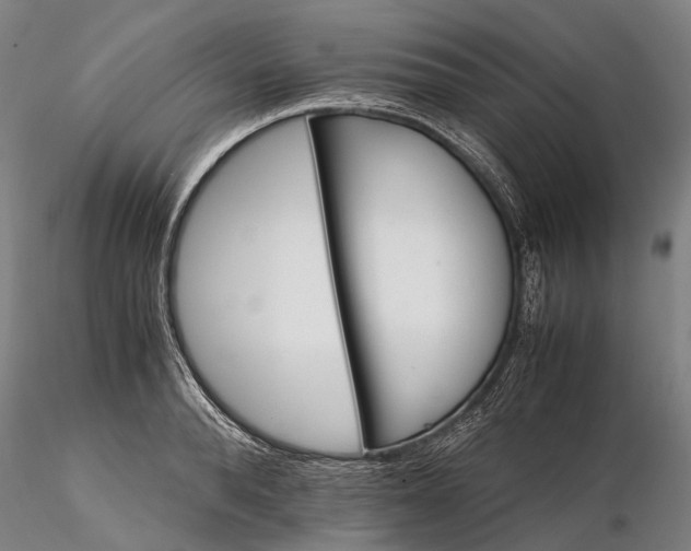 X0000116120896200912071343