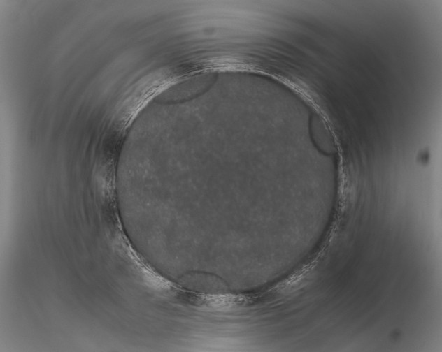 X0000116120897200912071343