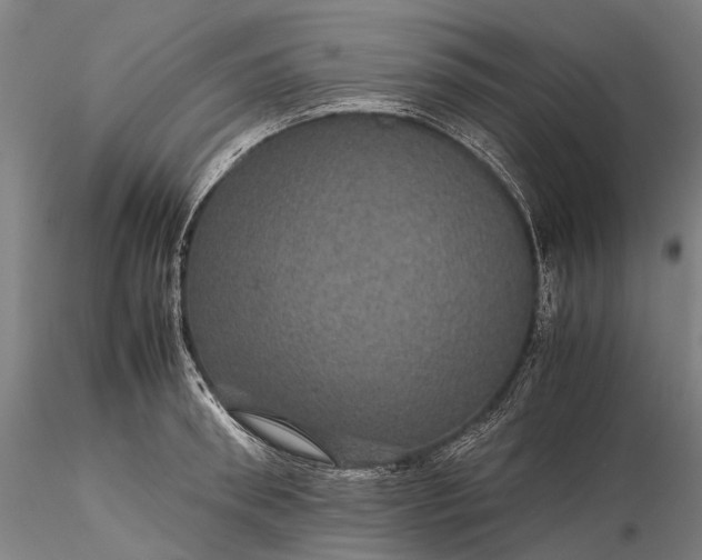 X0000116120898200912071343