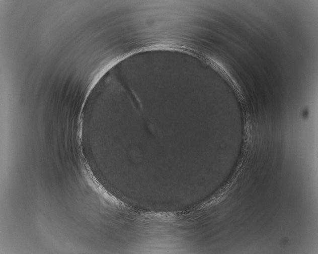 X0000116120900200912071343