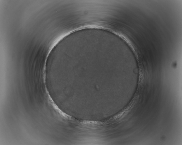 X0000116120902200912071343