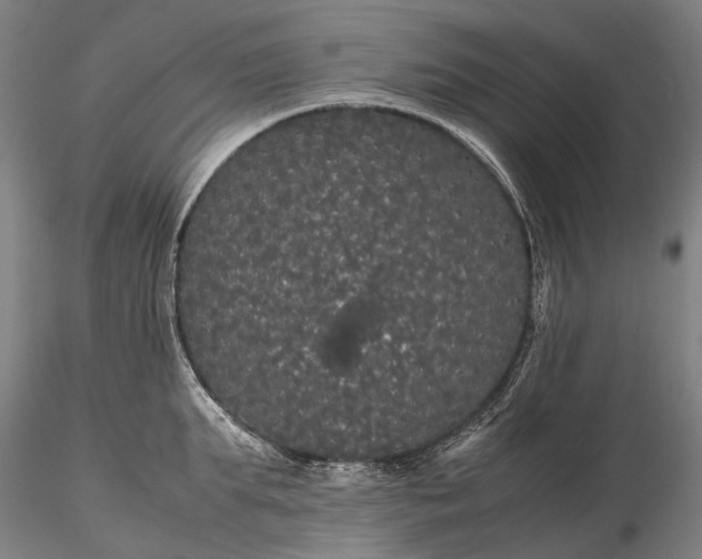 X0000116120903200912071343