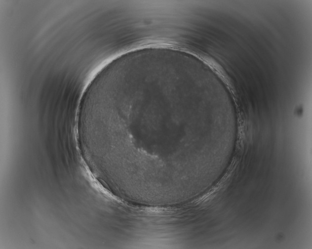 X0000116120904200912071343