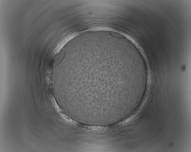 X0000116120905200912071343