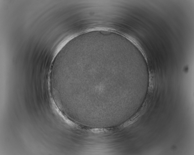 X0000116120906200912071343