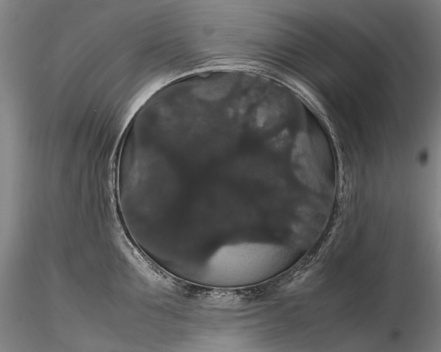 X0000116120907200912071343