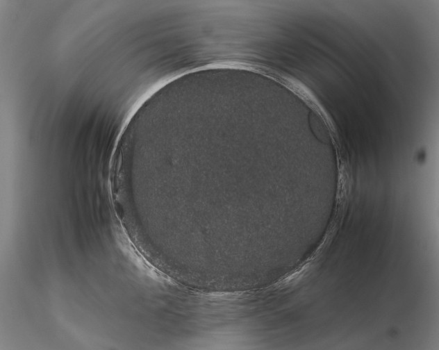 X0000116120908200912071343