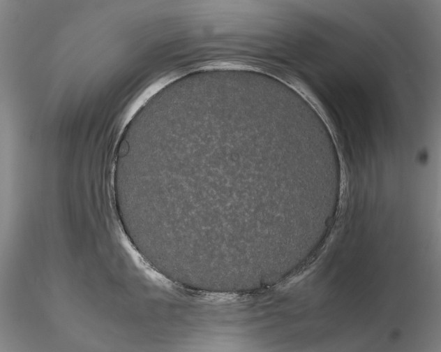 X0000116120909200912071343