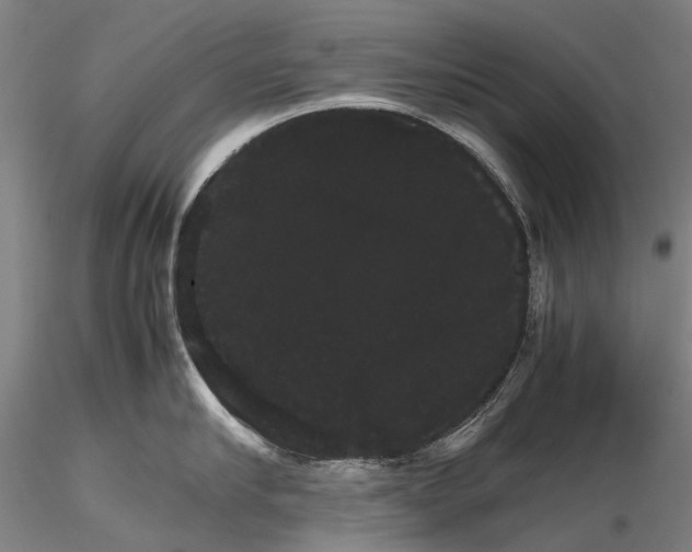 X0000116120910200912071343