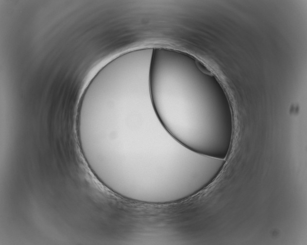 X0000116120912200912071343