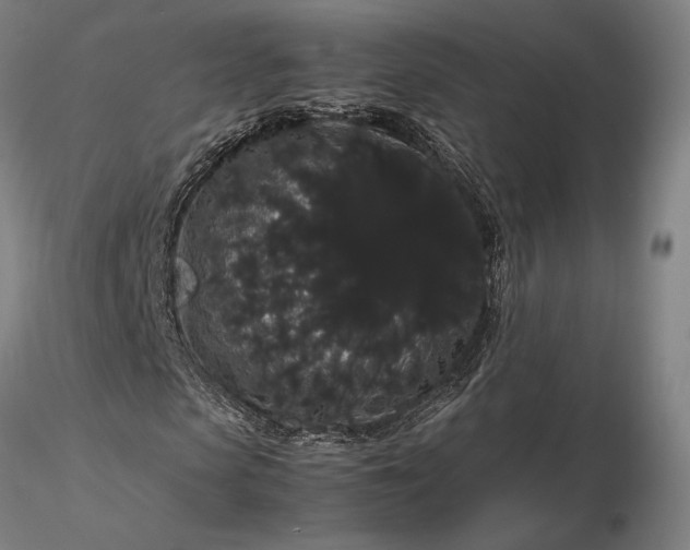 X0000116120913200912071342