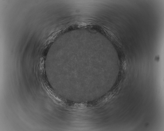 X0000116120914200912071342