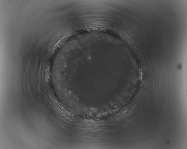 X0000116120915200912071342