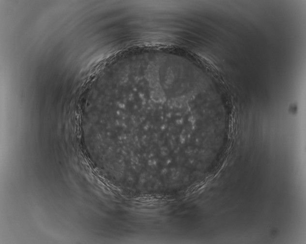 X0000116120917200912071342