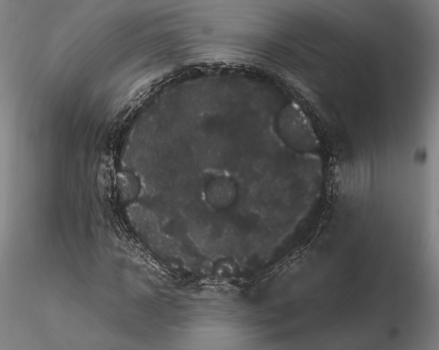 X0000116120918200912071342