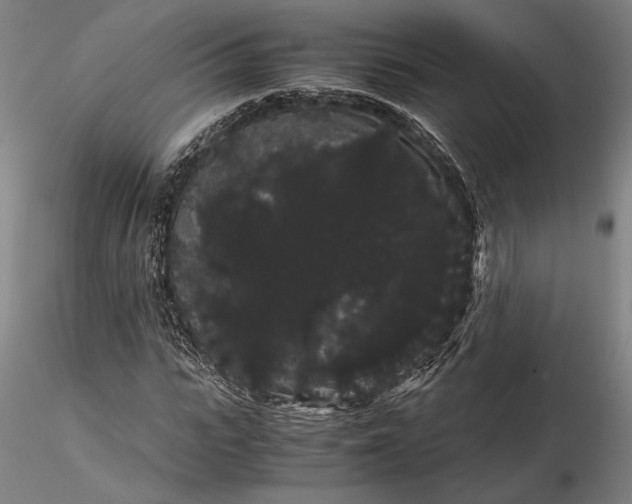 X0000116120919200912071342