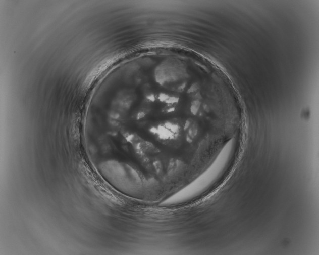 X0000116120921200912071342