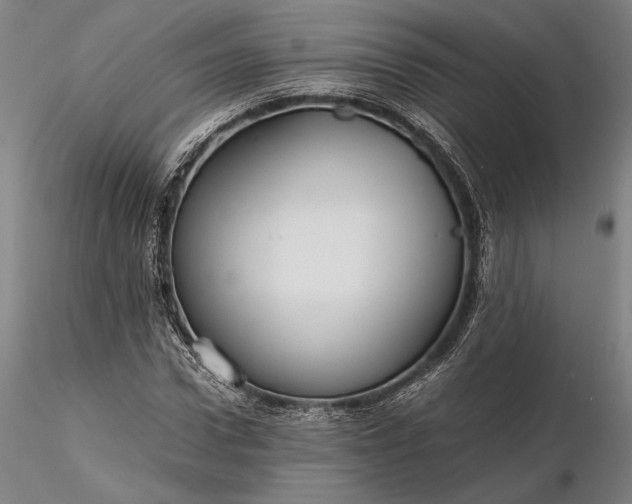 X0000116120922200912071342