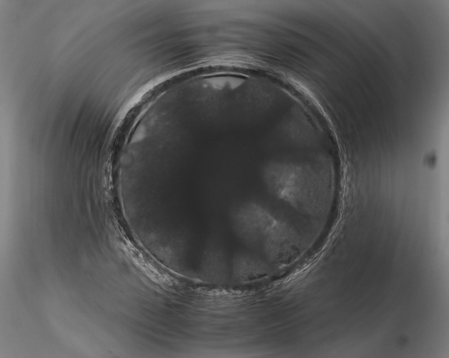 X0000116120923200912071342