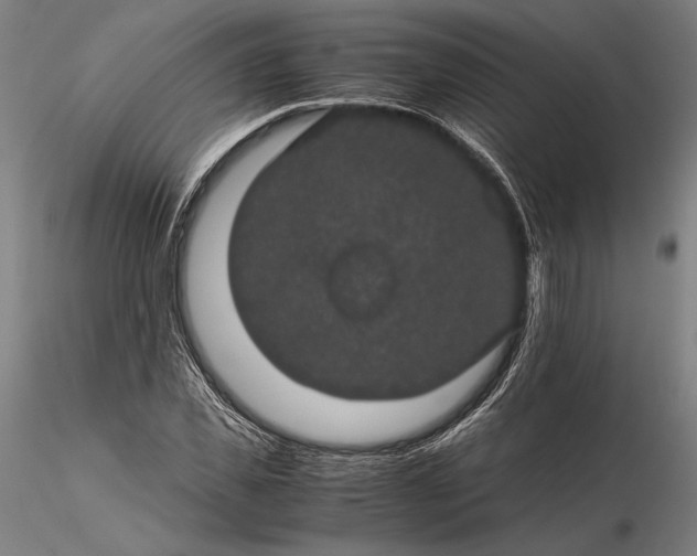 X0000116120925200912071342