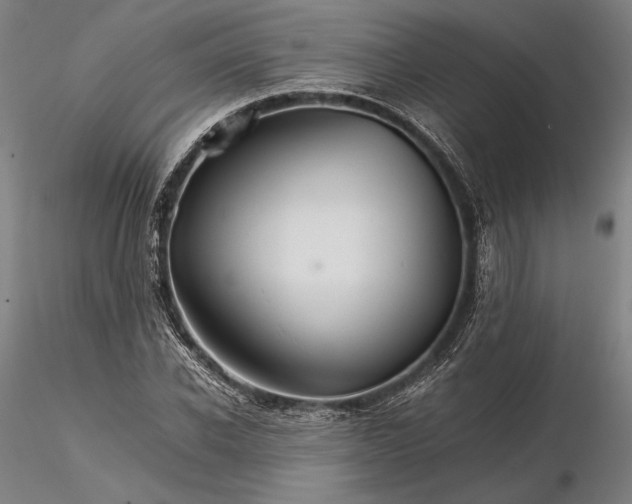 X0000116120926200912071342