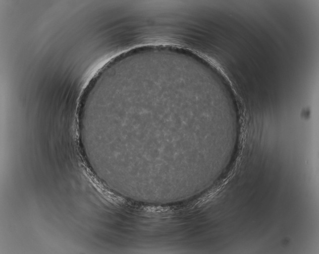 X0000116120927200912071342