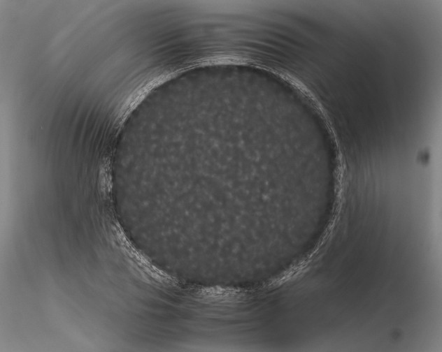 X0000116120929200912071342