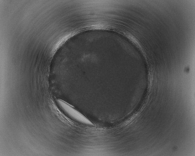 X0000116120930200912071342