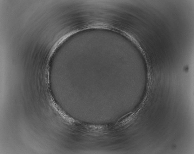 X0000116120931200912071342