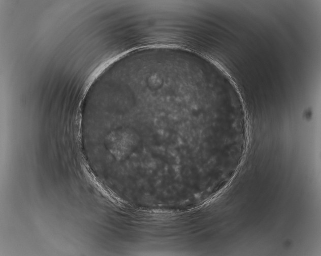 X0000116120933200912071342