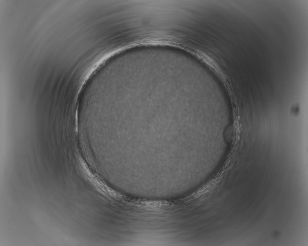 X0000116120934200912071342