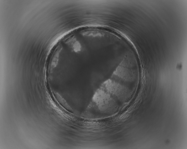 X0000116120935200912071343