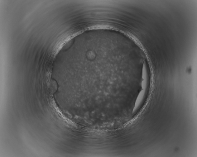 X0000116120937200912071343