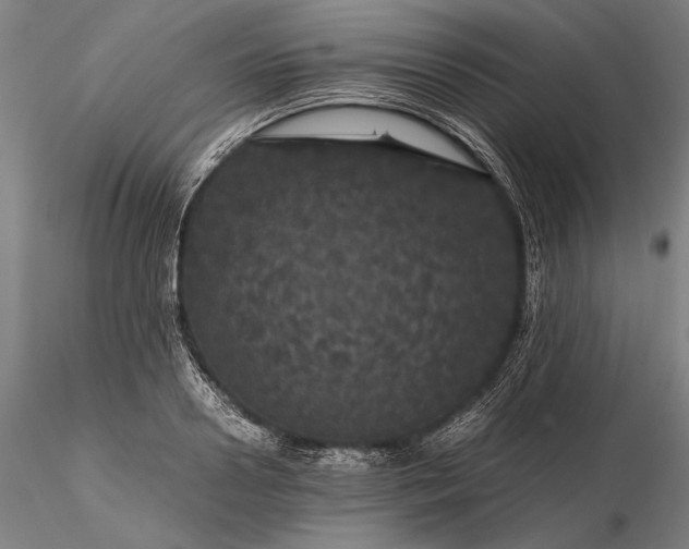 X0000116120938200912071343