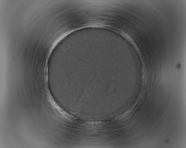 X0000116120939200912071343