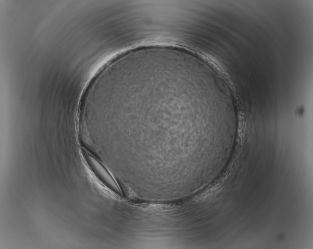 X0000116120942200912071343