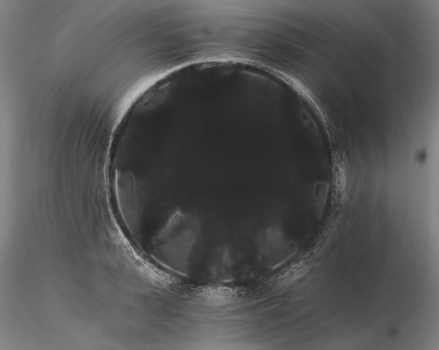 X0000116120943200912071343