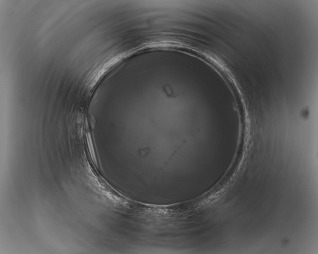 X0000116120945200912071343