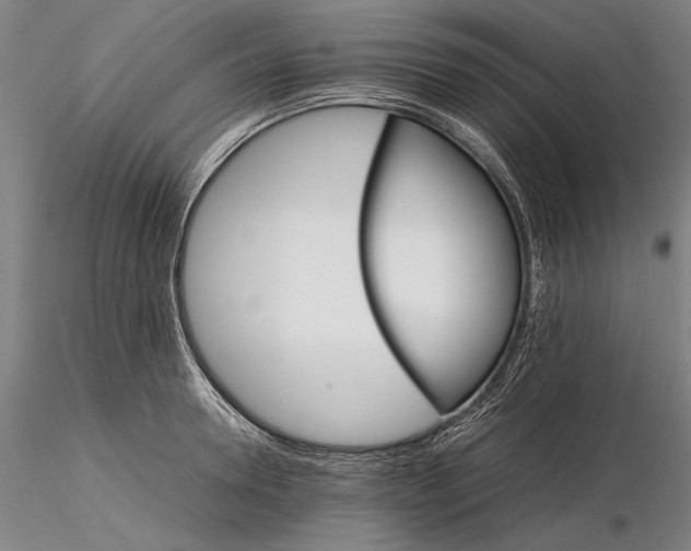 X0000116120946200912071343