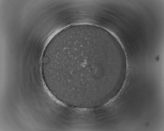 X0000116120949200912071343