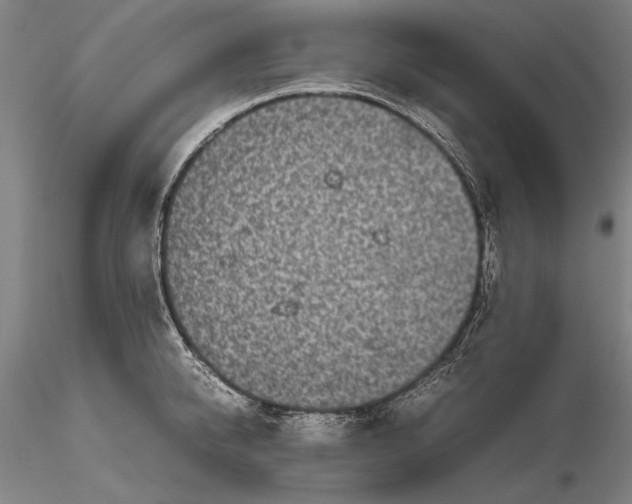 X0000116120950200912071343