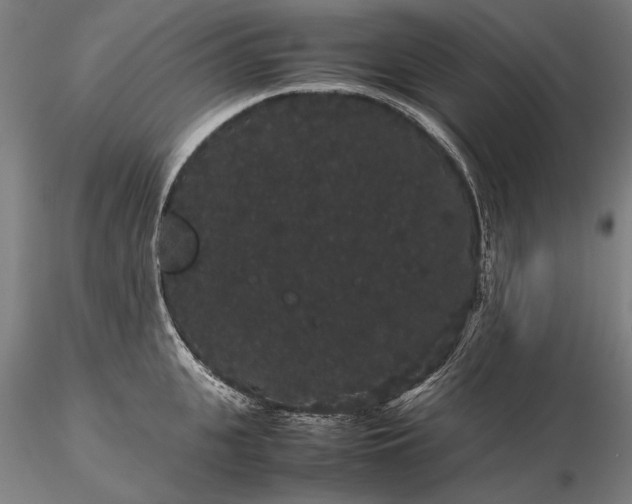 X0000116120951200912071343