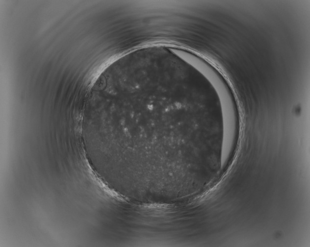 X0000116120953200912071343